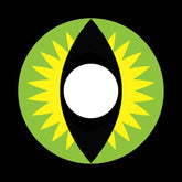 דרקון ירוק - Green Dragon