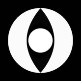 חתול לבן - White cat